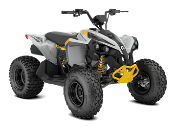 Can-am renegade std 110 efi 2023