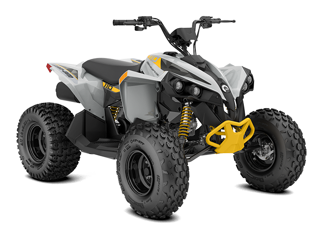 Can-am renegade std 110 efi 2023